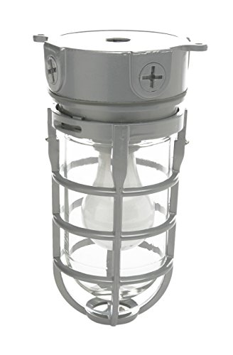 Woods L1706 Vandal Resistant Security Light With Ceiling Mount (150W Incandescent Bulb, Silver)