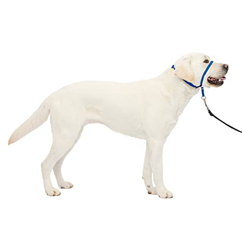 PetSafe Gentle Leader No-Pull Dog Headcollar – The Ultimate Solution to Pulling – Redirects Your Dog’s Pulling For Easier Walks – Helps You Regain Control – Large, Royal Blue