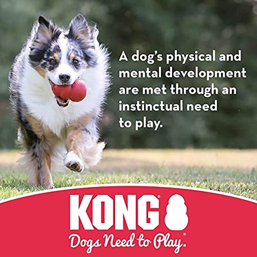 KONG Tug of War Toy – Durable, Stretchy Rubber Dog Toy – for Medium Dogs | The Storepaperoomates Retail Market - Fast Affordable Shopping
