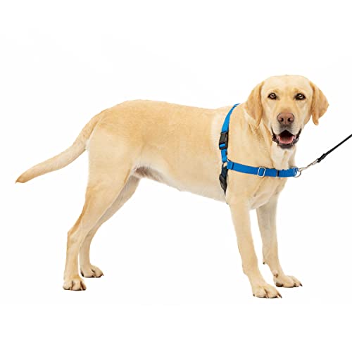 PetSafe Easy Walk No-Pull Dog Harness – The Ultimate Harness to Help Stop Pulling – Take Control & Teach Better Leash Manners – Helps Prevent Pets Pulling on Walks – Large, Royal Blue/Navy Blue