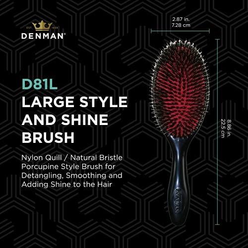 Denman Cushion Hair Brush (Small) with Soft Nylon Quill Boar Bristles – Porcupine Style for Grooming, Detangling, Straightening, Blowdrying and Refreshing Hair – Black, P081S | The Storepaperoomates Retail Market - Fast Affordable Shopping