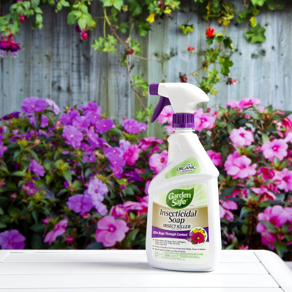 Garden Safe Insecticidal Soap Insect Killer, Kills Bugs Through Contact, Controls Aphids, Whiteflies, Mealybugs, For Organic Gardening, (RTU Spray) 24 fl Ounce | The Storepaperoomates Retail Market - Fast Affordable Shopping