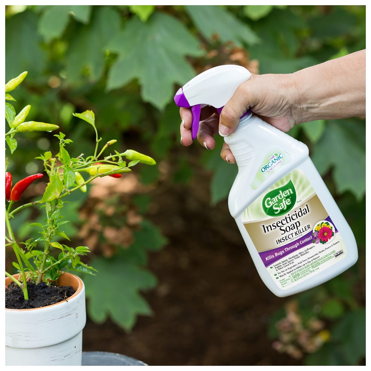 Garden Safe Insecticidal Soap Insect Killer, Kills Bugs Through Contact, Controls Aphids, Whiteflies, Mealybugs, For Organic Gardening, (RTU Spray) 24 fl Ounce | The Storepaperoomates Retail Market - Fast Affordable Shopping