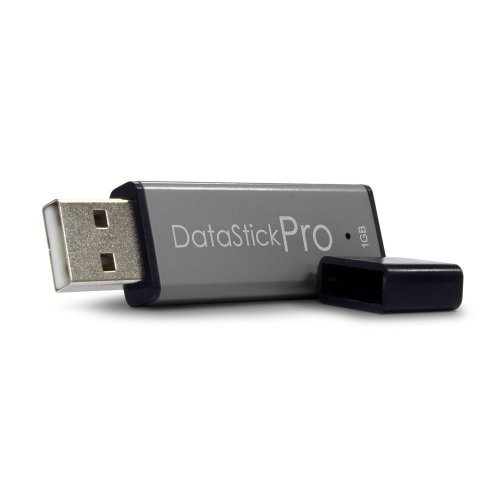 Centon DataStick Pro USB 2.0 Flash Drive 1GB x 1, Grey (DSP1GB-004)