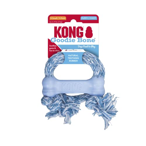 KONG – Puppy Goodie Bone with Rope – Teething Rubber, Teeth Cleaning Dog Toy – for X-Small Puppies – Blue | The Storepaperoomates Retail Market - Fast Affordable Shopping