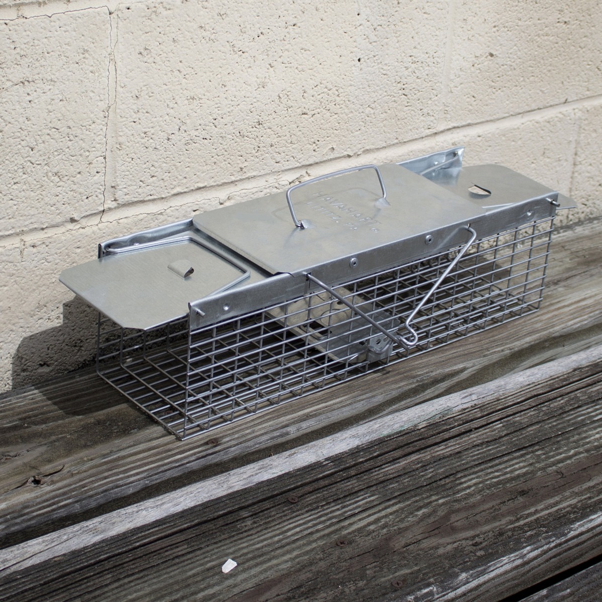 Havahart 1025 Small 2-Door Humane Catch and Release Live Animal Trap for Squirrels, Chipmunks, Rats, Weasels, and Small Animals | The Storepaperoomates Retail Market - Fast Affordable Shopping