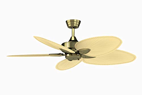 Fanimation Windpointe – 22 inch – Antique Brass with Natural Palm Narrow Oval Blades with Pull-Chain – FP7500AB