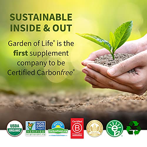 Garden of Life Whole Perfect Green Superfood Vegetable Dietary Powder Supplement, 600 g | The Storepaperoomates Retail Market - Fast Affordable Shopping