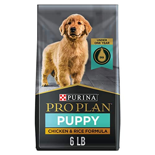 Purina Pro Plan High Protein Dry Puppy Food, Chicken and Rice Formula – 6 lb. Bag