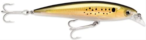 Rapala X-Rap Saltwater 10 Fishing lure, 4-Inch, Bunker | The Storepaperoomates Retail Market - Fast Affordable Shopping