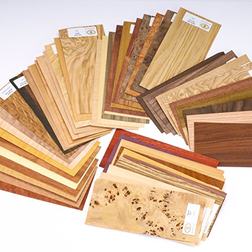 Wood Identification Kit, 50-Piece