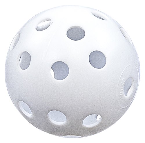Jef World of Golf Gifts and Gallery, Inc. Practice Golf Balls (White)