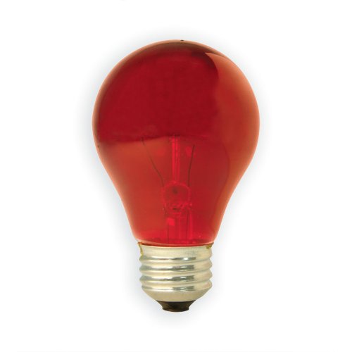 GE Incandenscent Party Light Bulb, Red, 25 Watts, A19 Standard Light Bulb (3 Pack)