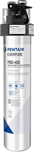 Pentair Everpure PBS-400 Drinking Water System, EV927085, Ideal for use in Prep Sink and Wet Bar, Includes Filter Head, Filter Cartridge, All Hardware and Connectors