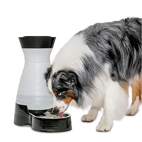 PetSafe Healthy Pet Water Station – Large, 320 oz Capacity – Gravity Cat & Dog Waterer – Removable Stainless Steel Bowl Resists Corrosion & Stands Up to Frequent Use – Easy to Fill – Filter Compatible