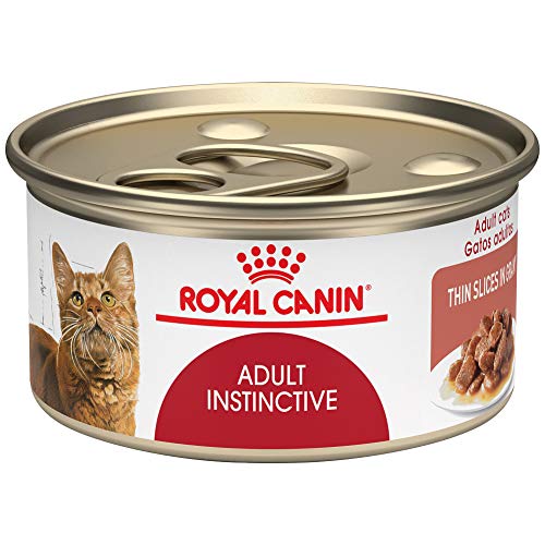 Royal Canin Feline Health Nutrition Adult Instinctive Thin Slices in Gravy Canned Cat Food, 3 Ounce (Pack of 24)