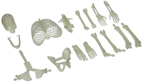 U.S. Toy USTMU75 16 Piece Glow in the Dark Skeleton Box of Bones Action Figure