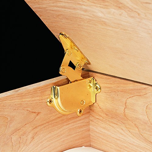 Brass Hinge and Lid Support