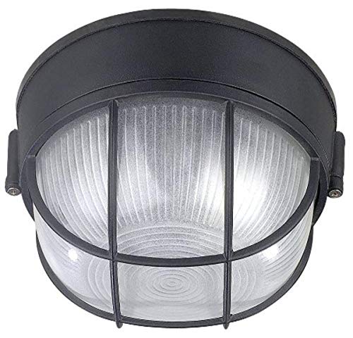 Canarm IOL17BK The Outdoor 1-Bulb Flush Mount Exterior Light with Frosted Glass Globe, Black