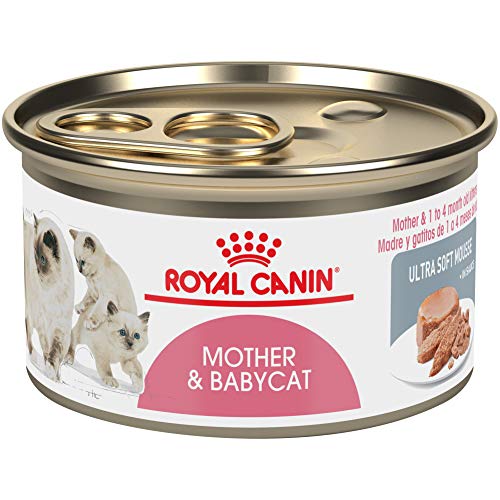 Royal Canin Feline Health Nutrition Mother & Babycat Ultra Soft Mousse in Sauce Canned Cat Food, 3 oz (Pack of 24)