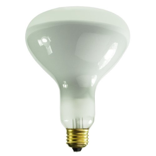 Current Professional Lighting LED4D/GU10/NFLTP-120 LED Directional Lamp