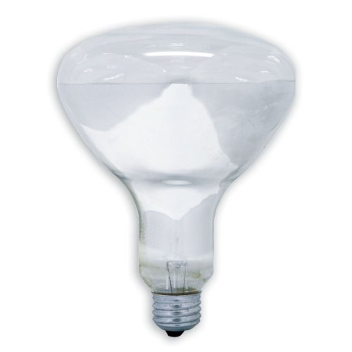 GE 46861 65-Watt Reflector Flood R40 Light Bulb