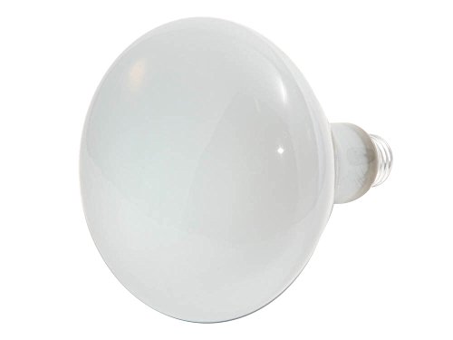 Philips 22537-5 65W Incandescent Lamps
