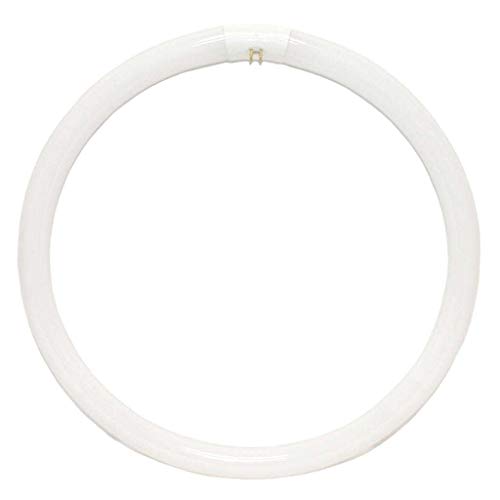 GE 11052 – FC16T9/D 16 Inches Long Circular T9 Fluorescent Tube Light Bulb