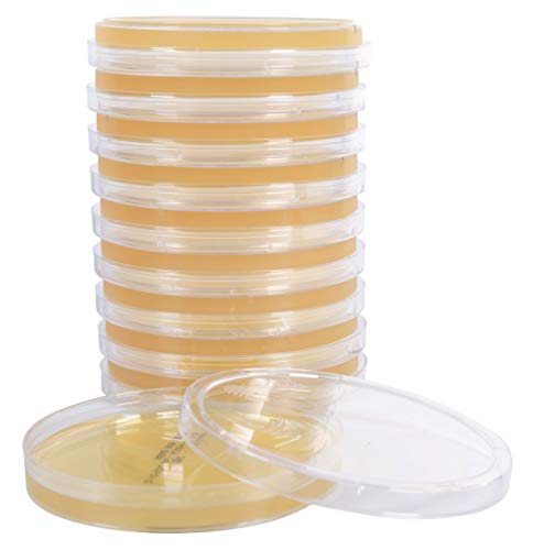 Emmon’s Sabdex (Sabouraud Dextrose) Agar, for The Culturing of Fungi and Yeast, Deep Fill, 15x100mm Plate, Order by The Package of 10, by Hardy Diagnostics
