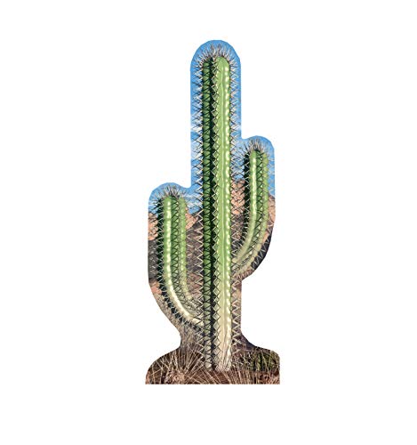 Advanced Graphics Single Cactus Life Size Cardboard Cutout Standup