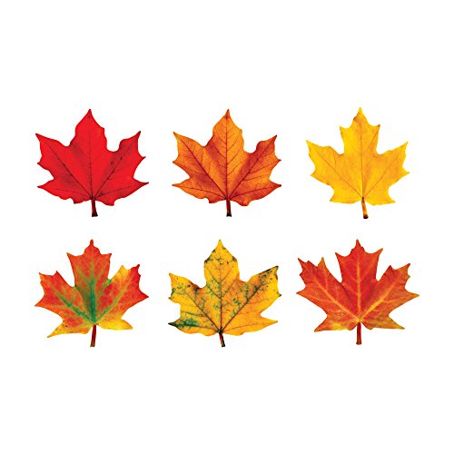 TREND ENTERPRISES, INC. – T-10958 TREND enterprises, Inc. Maple Leaves Classic Accents Variety Pack, 36 ct