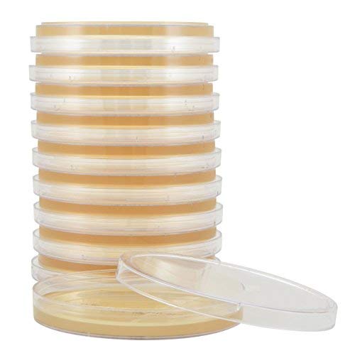 Tryptic Soy Agar (TSA), USP, a General Growth Medium for Microorganisms, 15x100mm Plate, Order by The Box of 100, by Hardy Diagnostics