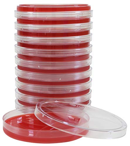 BHI (Brain Heart Infusion) Agar with Blood, 15x100mm Plate, Order by the Package of 10, by Hardy Diagnostics