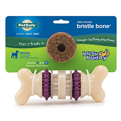 PetSafe Busy Buddy Bristle Bone – Treat-Holding Toy for Dogs – Treat Rings Included – Treats Thoroughly Mixed During Bake to Prevent Choking – Rigorously Tested Ingredients – Purple, Medium