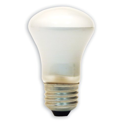 GE Lighting 790079 Light Bulb, 1 Pack