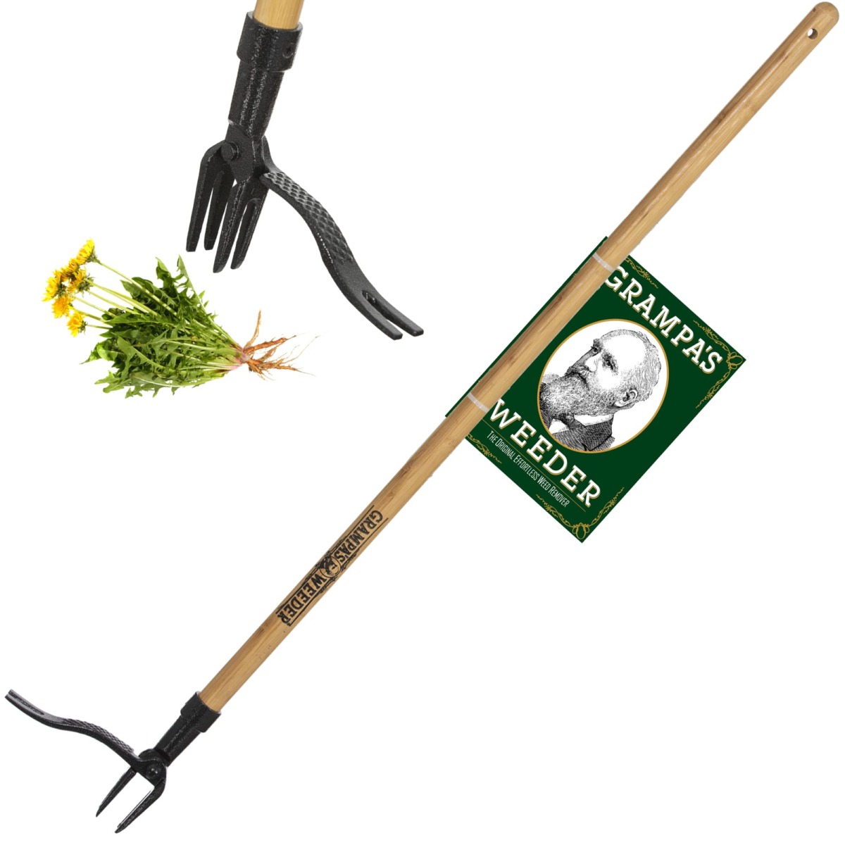 Grampa’s Weeder – The Original Stand Up Weed Puller Tool with Long Handle – Made with Real Bamboo & 4-Claw Steel Head Design – Easily Remove Weeds Without Bending, Pulling, or Kneeling | The Storepaperoomates Retail Market - Fast Affordable Shopping