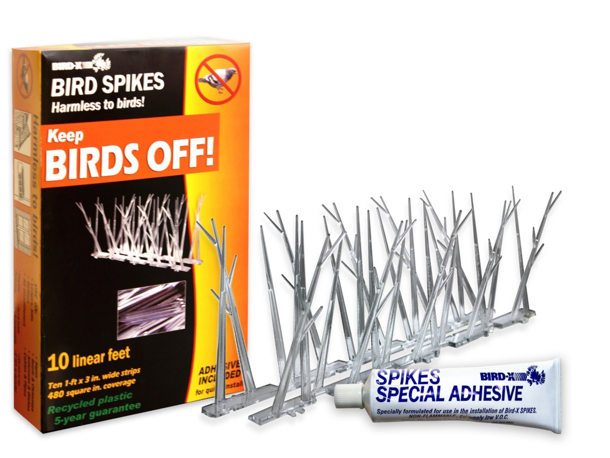 Bird-X, SP-10-NR Plastic Polycarbonate Bird Spikes Kit with Adhesive Glue, Covers 10 feet | The Storepaperoomates Retail Market - Fast Affordable Shopping