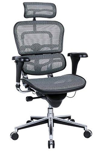 Ergohuman High Back Executive Chair with Headrest, Grey Mesh Seat & Back