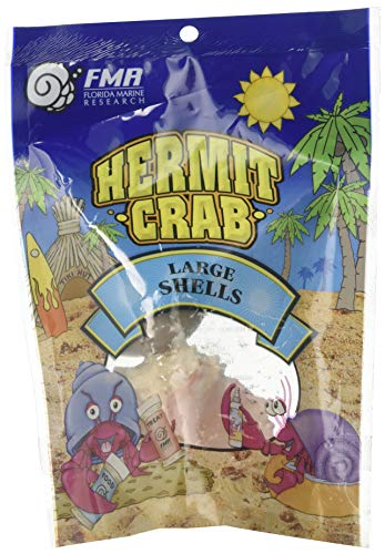 Florida Marine Research SFM33331 2-Pack Hermit Crab Shell, Large
