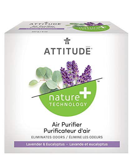 ATTITUDE Hypoallergenic Air Purifier with Activated Carbon Filter, Eucalyptus, 8 Ounce, white (15228)