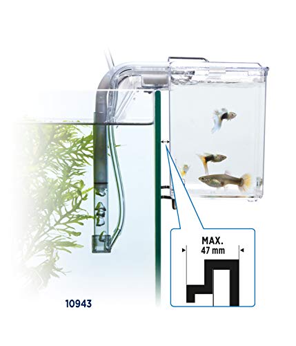 Fluval Multi-Chamber Holding and Breeding Box, Large – Up To 3 Separate Housing Compartments | The Storepaperoomates Retail Market - Fast Affordable Shopping