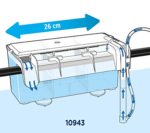 Fluval Multi-Chamber Holding and Breeding Box, Large – Up To 3 Separate Housing Compartments | The Storepaperoomates Retail Market - Fast Affordable Shopping
