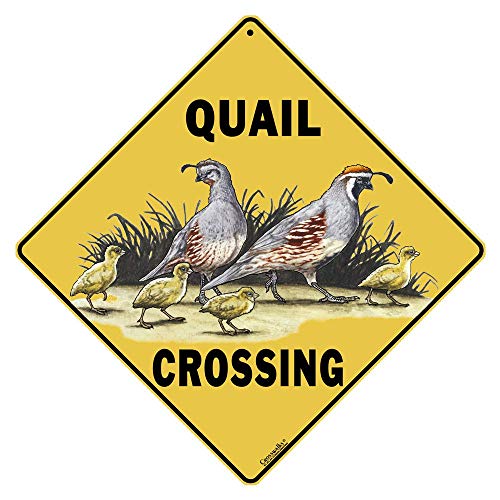 CROSSWALKS Quail Crossing Sign – 12″ X 12″ Aluminum Sign (X143)