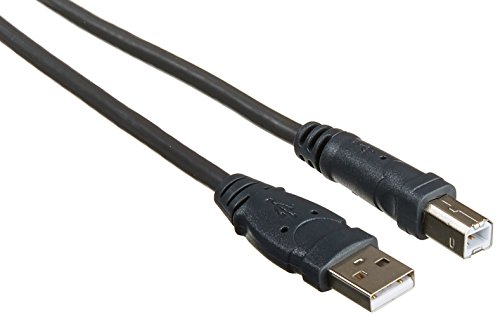 Belkin USB cable – 16′ (F3U133B16)
