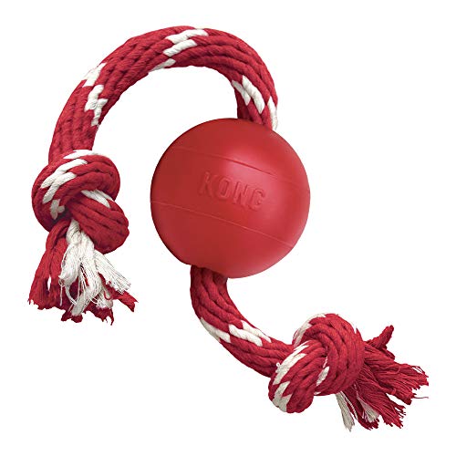 KONG – Ball with Rope – Durable Rubber, Fetch and Chew Toy – for Small Dogs