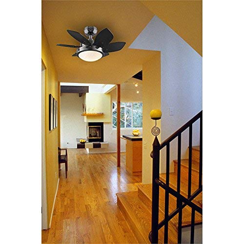Westinghouse Lighting 7224300 Quince 24-Inch Gun Metal Indoor Ceiling Fan, Light Kit with Opal Frosted Glass | The Storepaperoomates Retail Market - Fast Affordable Shopping