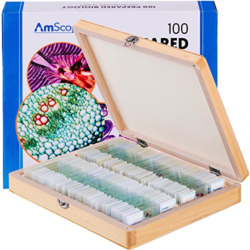 AmScope PS100E Basic Biology Prepared Slide Set for Student and Homeschool Use, Set of 100 Prepared Glass Slides (Set E), Includes Fitted Wooden Storage Box