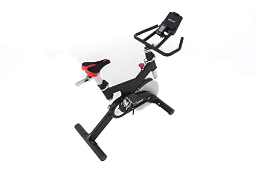 SOLE Fitness SB700 Light Upright Indoor Stationary Bike, Home and Gym Exercise Equipment, Smooth and Quiet, Versatile for Any Workout, Bluetooth and USB Compatible