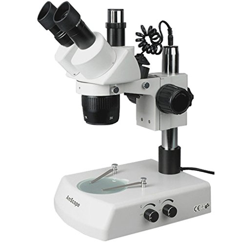 AmScope SW-2T24 Trinocular Stereo Microscope, WH10x Eyepieces, 20X/40X Magnification, 2X/4X Objective, Upper and Lower Halogen Lighting, Pillar Stand, 110V-120V