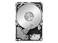 Seagate Constellation ST9250610NS Hard Disk Drive